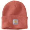 Carhartt Unisex Strickmütze Watch Hat Beanie A18