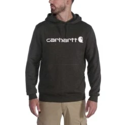 Carhartt Herren Hoodie Force Delmont Graphic