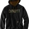 Carhartt Camo-Logo, Kapuzenpullover