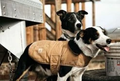 Carhartt Chore, Hunde-Mantel -Carhartt Arbeitswelt Verkaufsgeschäft carhartt chore hunde mantel 57515 9