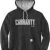 Carhartt Felt Logo, Kapuzenpullover