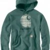 Carhartt C-Logo, Kapuzenpullover