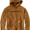 Carhartt Logo Graphic, Kapuzenpullover
